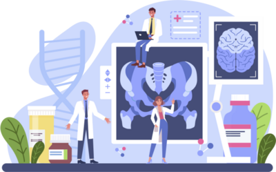 МРТ органов малого таза с внутривенным контрастированием/женский таз